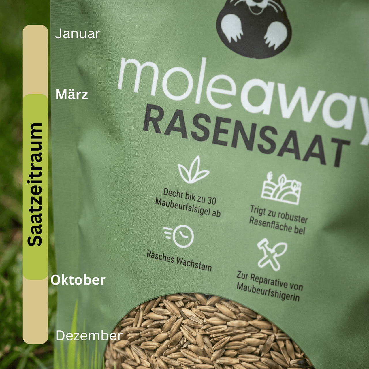Moleaway Rasensaat